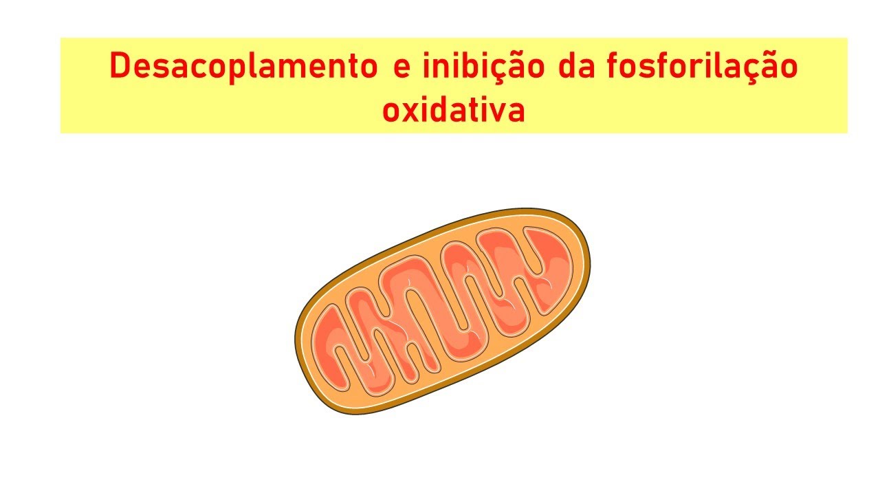 Desacoplamento e inibição da fosforilação oxidativa