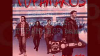 TUPAMAROS FEAT. THE GANG: Il Signor Hood