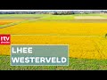 Lhee | Donders mooi Drenthe