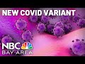 UCSF infectious disease specialist explains new COVID variants