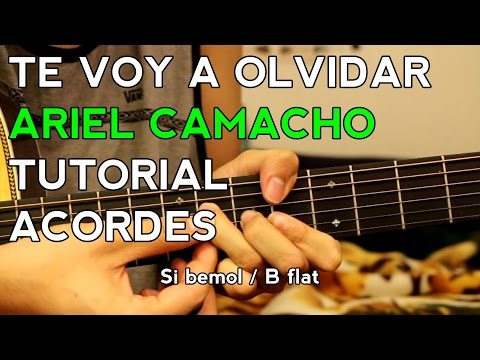 download lagu mp3 mp4 Como Te Voy A Olvidar Acordes, download lagu Como Te Voy A Olvidar Acordes gratis, unduh video klip Como Te Voy A Olvidar Acordes