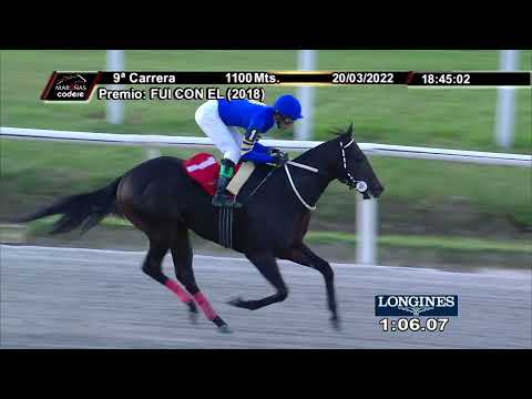 220320 c09 SUPER SEIT (ARG)