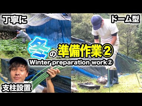 冬に向けて温室を準備することは、自尊心のあるすべての庭師の優先事項です。どのような活動を始めるべきですか?  庭園