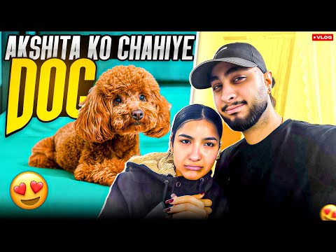 Akshita ko dog chahiye 🐶 || jaigo gill vlogs