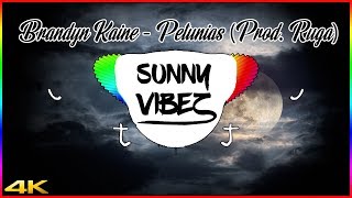 Petunias Music Video