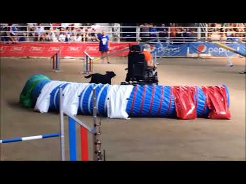 PAWC 2022 Voghera Italy ORGINEEL