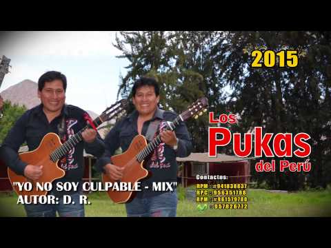 LOS PUKAS 2015 - YO NO SOY CULPABLE - 8