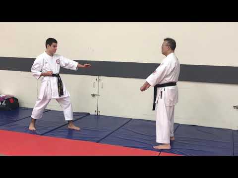 Kihon Kumite 1