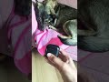 ..my earbud 🥲 funny cute dog