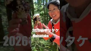1st Matsutake of 2026 初マツタケ #Shorts