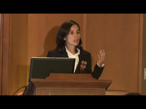 Against Sand and Sea: Strategies on Coastal Defense