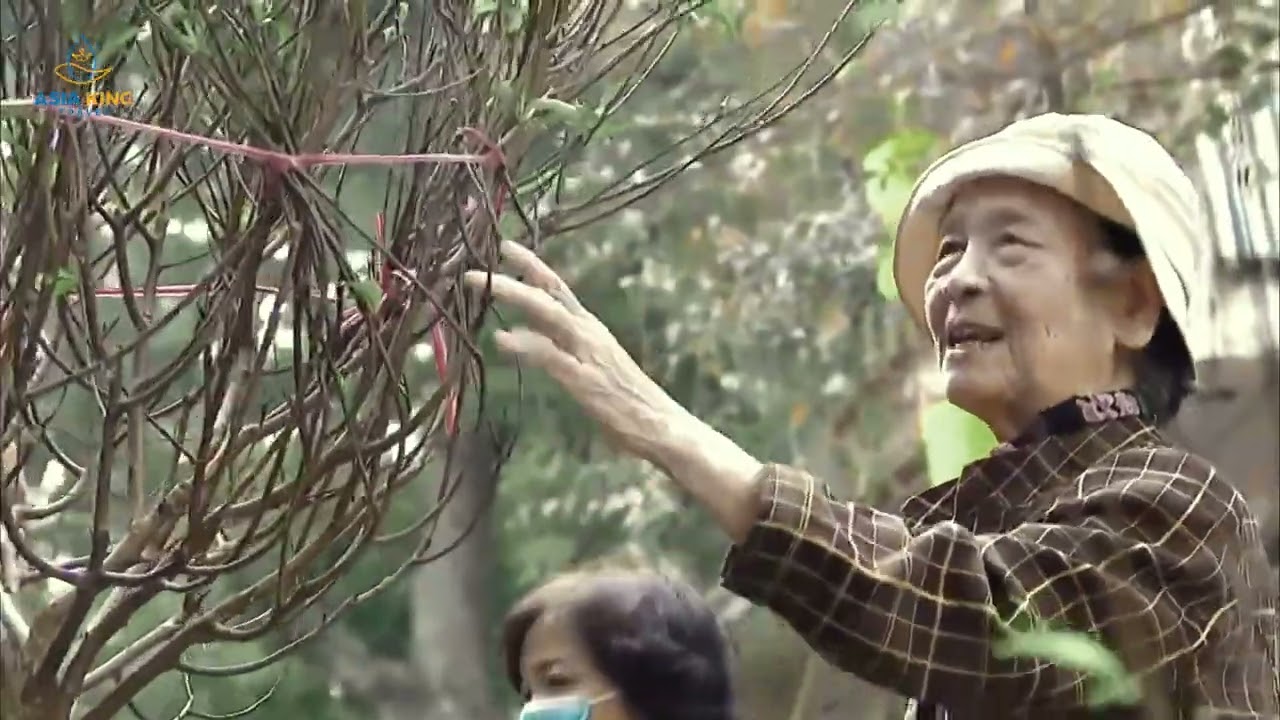 Traditional Lunar New Year customs in Vietnam
