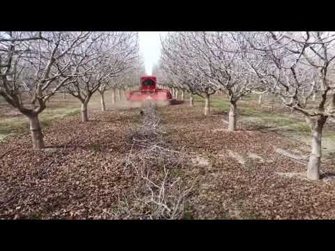 Flory WS910 Shredder