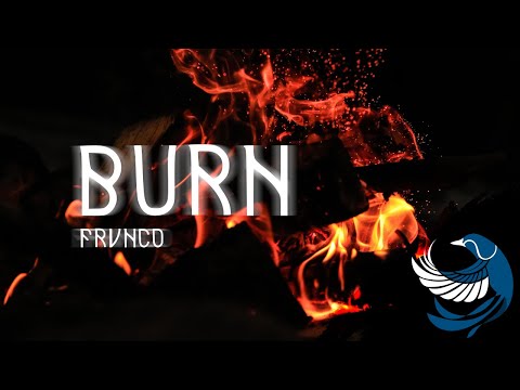 FRVNCO - Burn (Original Mix)