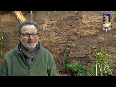 Óngerwaeg behandelt houtworm in Egchel - 4 februari 2020