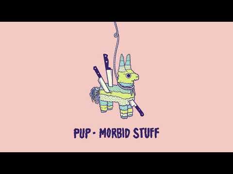 PUP - Morbid Stuff (Audio)