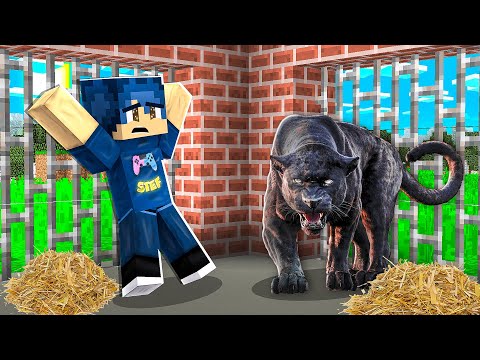 STEF È STATO SBRANATO DALLA PANTERA! - MINECRAFT *VITA IN CITTÀ*