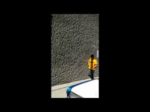 gigio / nistley / tutting