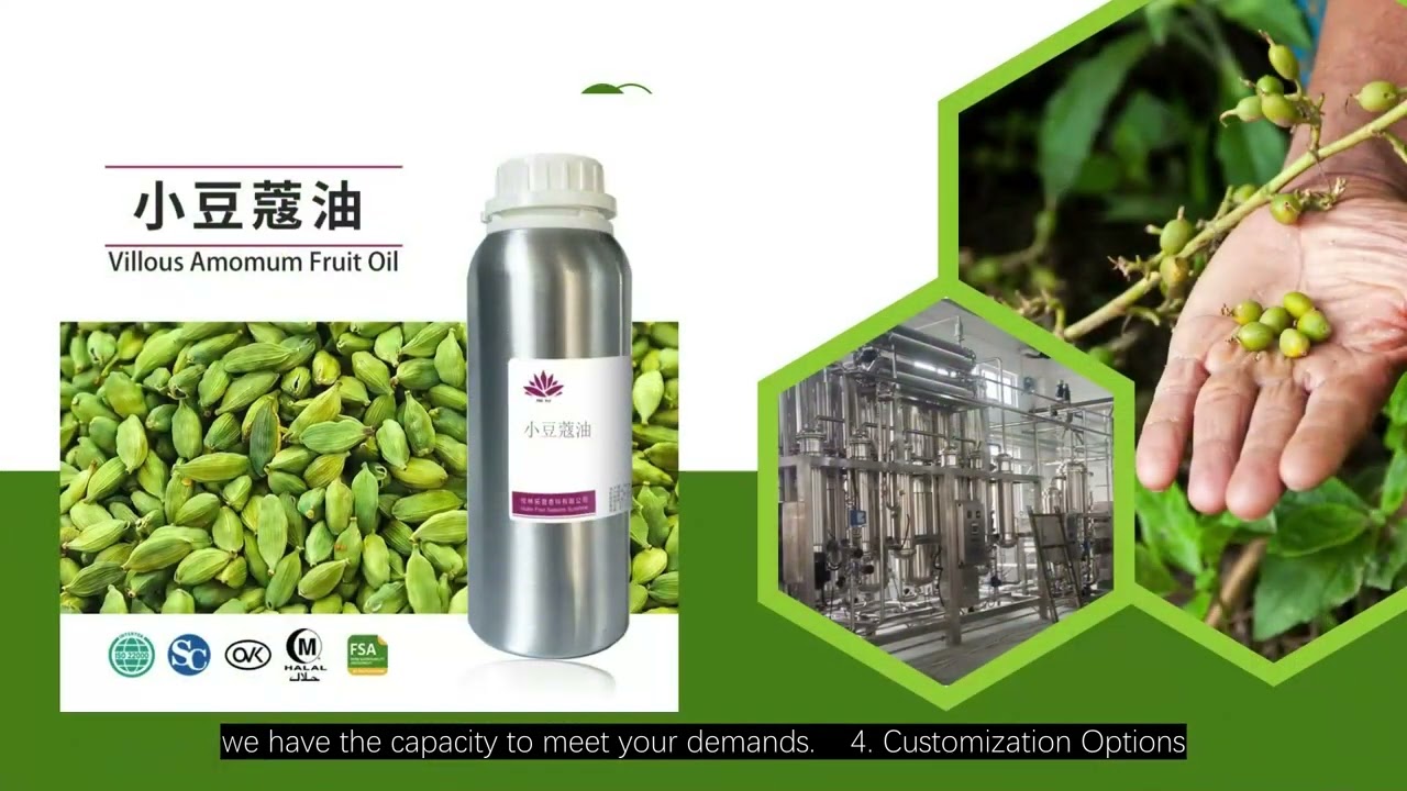 China Pure Ginger Oil – Invigorating Aromas and Unmatched Quality