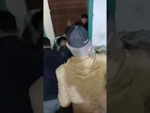 Proses Evakuasi Tapir yang Masuk Rumah Warga 