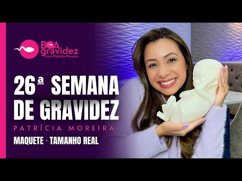 26 WEEKS OF PREGNANCY (Updated) Series A Human Formation | Life-size model