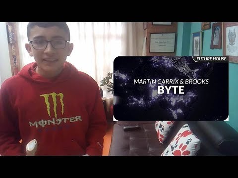 Byte - Martin Garrix en Flauta Dulce con NOTAS