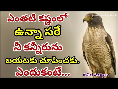 Life quotations|famous quotations| jeevitha satyalu|motivational quotes| Manchi Maatalu by Srilatha|