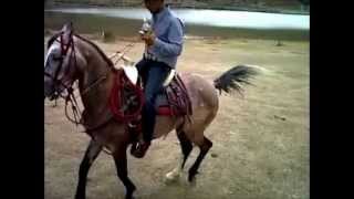 Grupo Laberinto   Ballo cara blanca