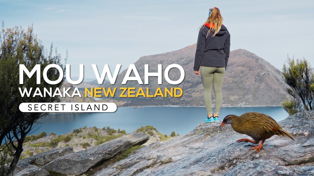 Experience a virtual hike to Mou Waho Island.