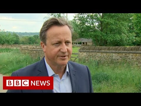 David Cameron: 'I feel desperately sorry for Theresa' - BBC News