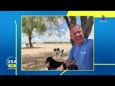 Exmilitar podrá salir de Afganistán acompañado por 200 perros rescatados | Noticias con Paco Zea