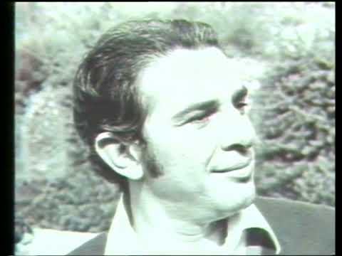 MAXIPROCESSO INTEGRALE