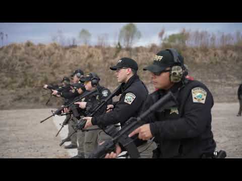 Creativity Theory video.