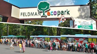 ЭКОПАРК ФЕЛЬДМАНА В ХАРЬКОВЕ - СПУСТИЛИСЬ К ПРУДАМ