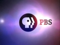 PBS Logo 2008 Present 2