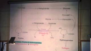 9) Dr.Rasheed 11/3/2015 [Glutamate-Proline - lysine-Histidine]