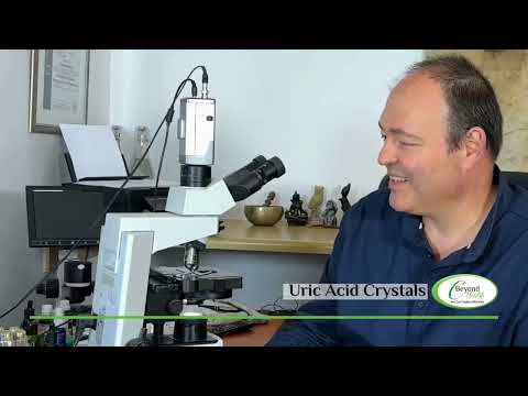 Deep Dive into Live Blood Analysis