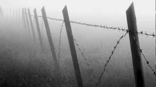 Elbow - Scattered Black and Whites