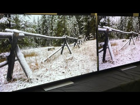 LG C3 vs LG G3 4K OLED TVs: Find Out Which 2023 OLED TV will be better For Dolby Vision Contents