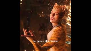 macavity - taylor swift