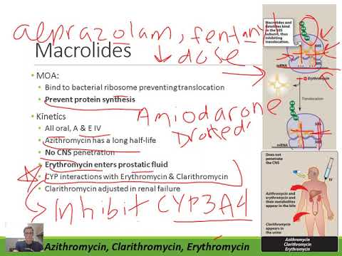 Pharmacology: Macrolide Antibiotics