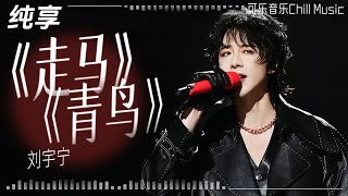 Download lagu #LiuYuning sings his hit song 'Zou Ma' after 6 years partnering #mayavi chorus of 'Green Bird'#music mp3