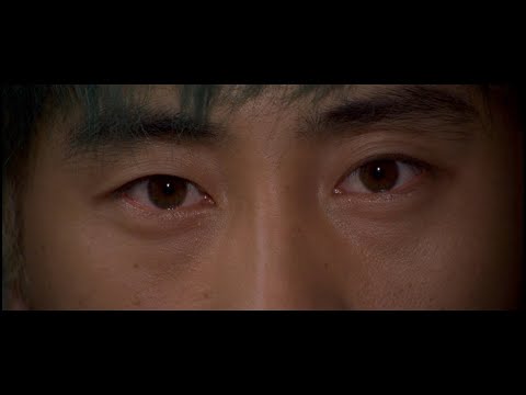 Two men eaten up with vengeance, the first of Park chan-wook's revenge trilogy