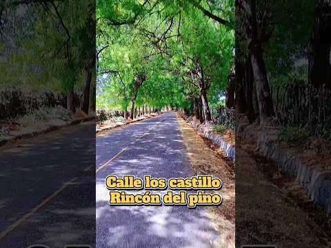 Recorrido por la calle los castillo Rincón del pino #sanjosedeocoa