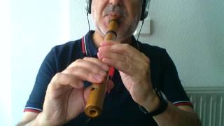 Lamento Borincano (El jibarito)  - Quena cromática