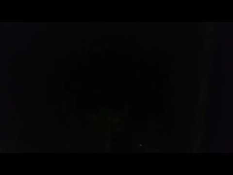 Coyotes Howling At Night