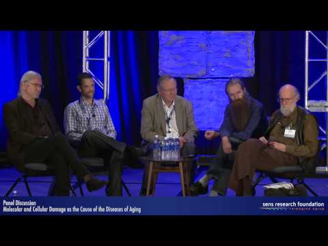 Molecular and Cellular Damage as the Cause of the Diseases of Aging - Panel Discussion