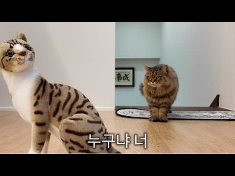 이렇게 무서워할 줄은 몰랐다.