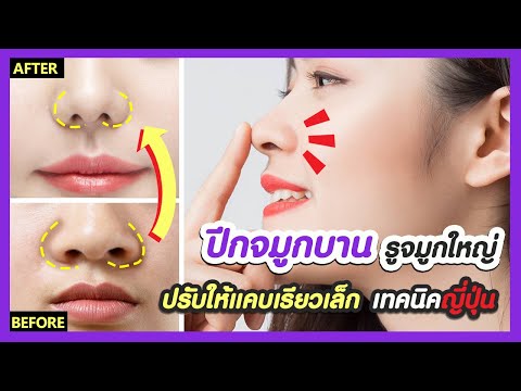 โบท็อก ปีกจมูก