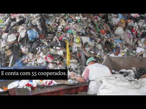 Você sabe como funcionam as cooperativas de reciclagem de Santos?